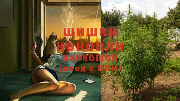 прущая мука Карпинск