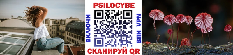 купить  цена  Ковылкино  Галлюциногенные грибы Psilocybe 